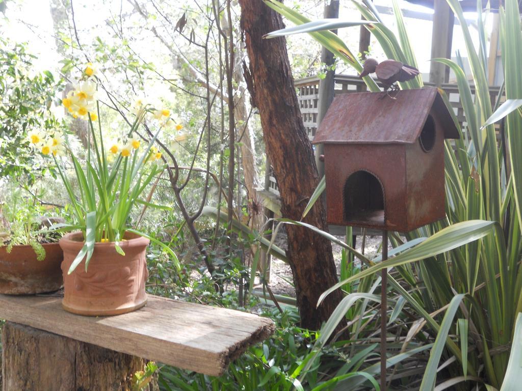 Astley Cottage デイルスフォード 部屋 写真