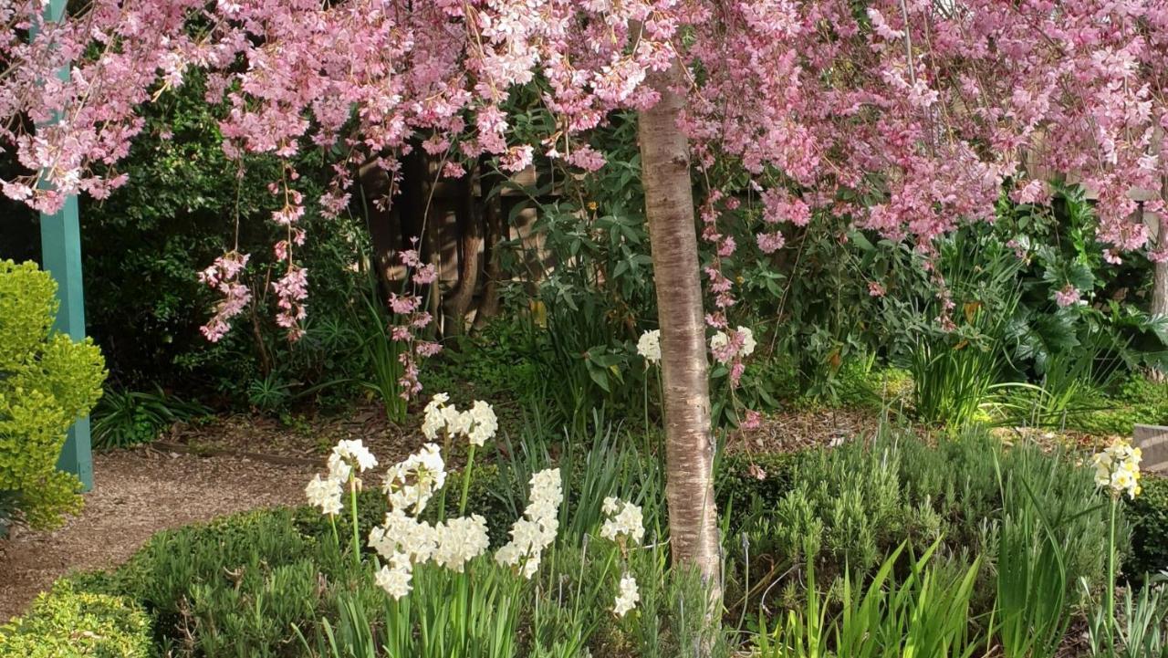 Astley Cottage デイルスフォード エクステリア 写真